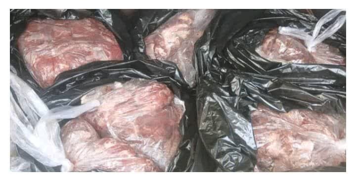 شکارچیان کوه چنار 1