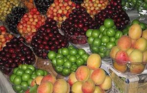 گرانی در میوه فروشی‌های شیراز بیداد می کنند/ توی استان فارس مسئولی هست؟