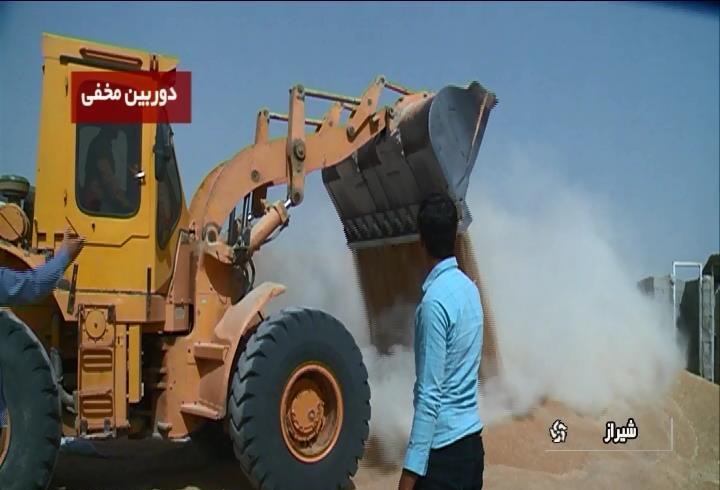 کلیپ مخلوط کردن گندم با خاک