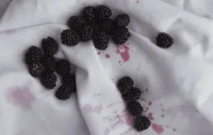 ترفند سریع پاک کردن لکه شاتوت از روی لباس ، فرش و دست