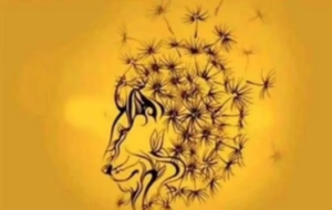 این تست تصویری نشان می‌دهد که بهترین ویژگی‌ شخصیتی شما چیست؟