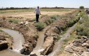 نابودی ۸۵ درصد آب شیرین کشور در بخش کشاورزی