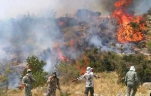 محکومیت عامل آتش سوزی« جنگل‌های خفر » به ۱۰ سال زندان و پرداخت خسارت