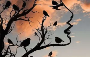 اگر می‌خواهید بدانید فردی متواضع هستید یا مغرور بگویید که در نگاه اول چه می بینید؟