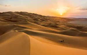 کشف گنجی بزرگ در عربستان سعودی که سوپر میلیاردر شد