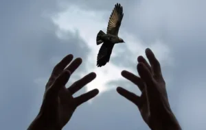 گذشت و بخشش سرهنگ فراجا از حکم قصاص ضاربش