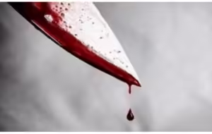 جزئیات قتل مدیر یک رستوران توسط کارگر ۱۷ ساله در جنوب فارس