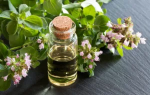 ۹ خاصیت جادویی مرزنجوش برای درمان و سلامتی و روش مصرف آن