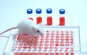 پرورش موش‌هایی با سیستم ایمنی کاملا مشابه انسان برای اولین بار