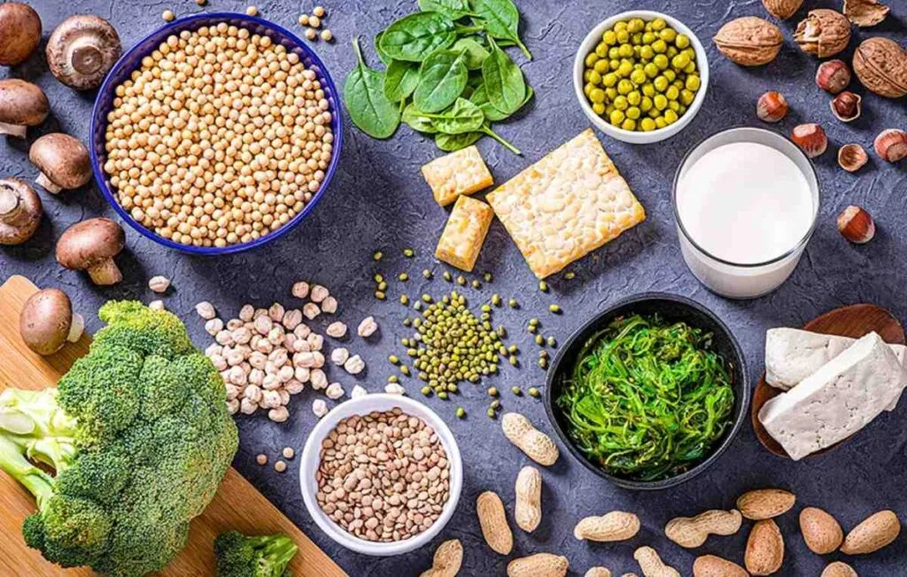 Best resources for vegetarians 1 3 jpg