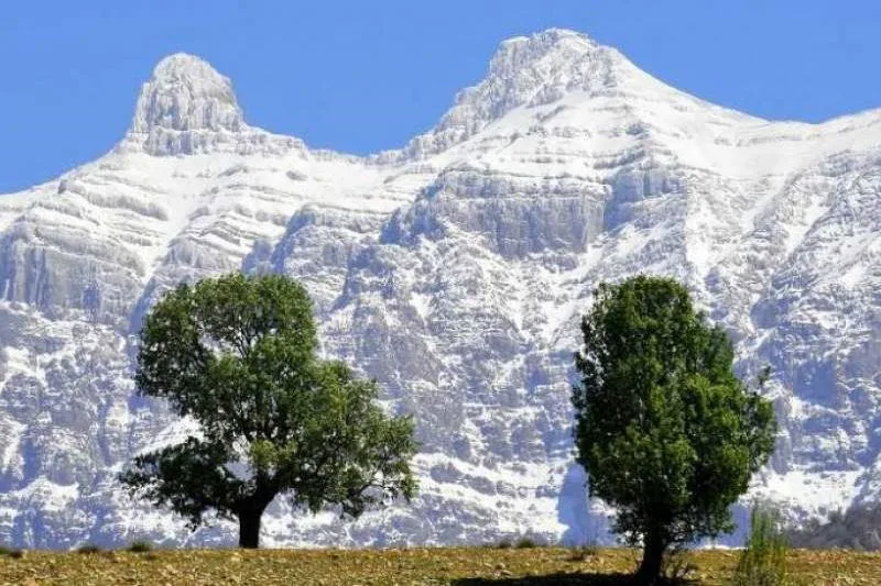 دنای شمالی jpg