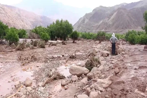 سیل jpg