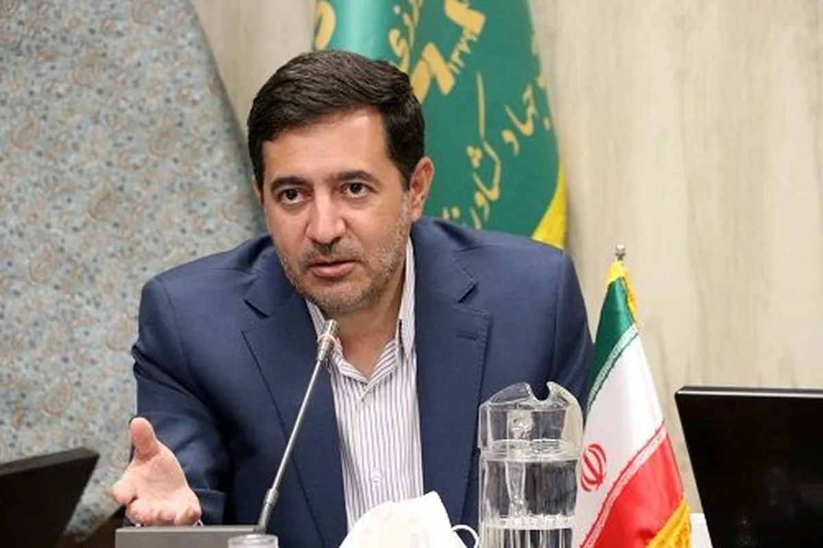 مجتبی دهقان پور jpg