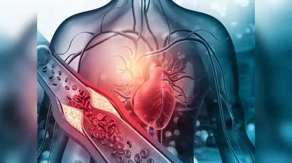 Why do only female children suffer from cardiovascular disease due to father's high cholesterol?