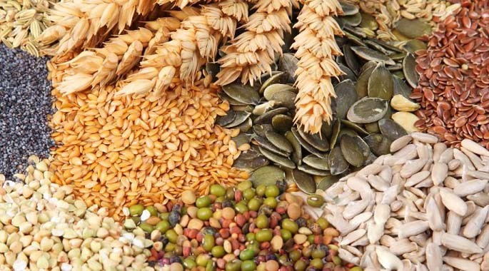 قیمت خرید تضمینی برخی از دانه‌های روغنی و جو اعلام شد