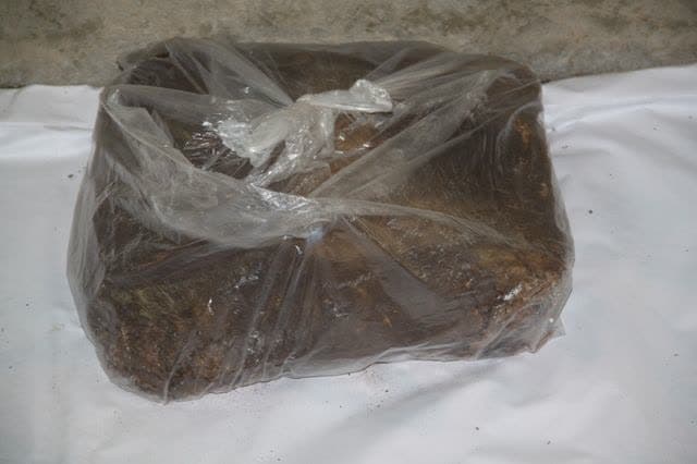 ریاک سپیدان
