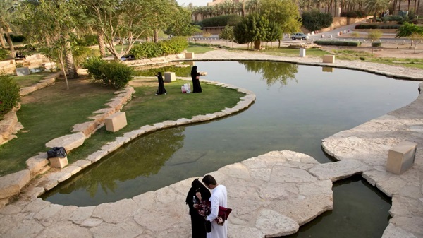 گردگشری عربستان
