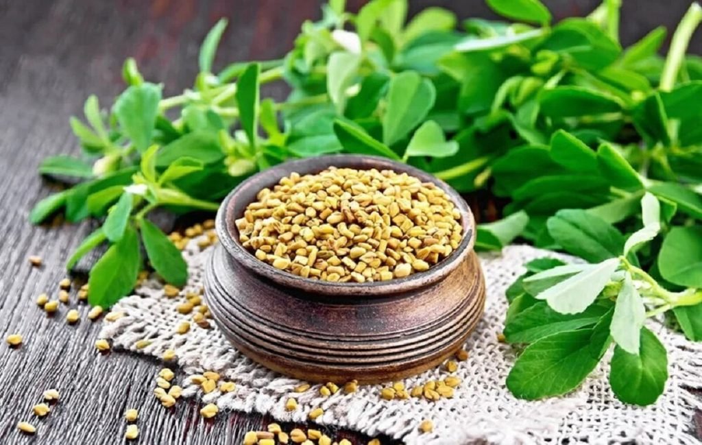 Getting to know the properties of fenugreek the most important therapeutic properties and how to use it 2