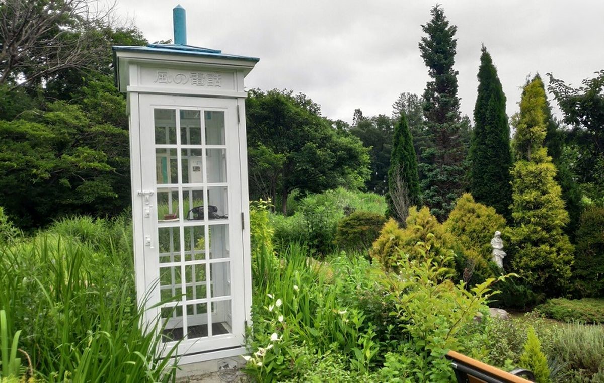 How does wind phone relieve the sorrow of losing loved ones 3