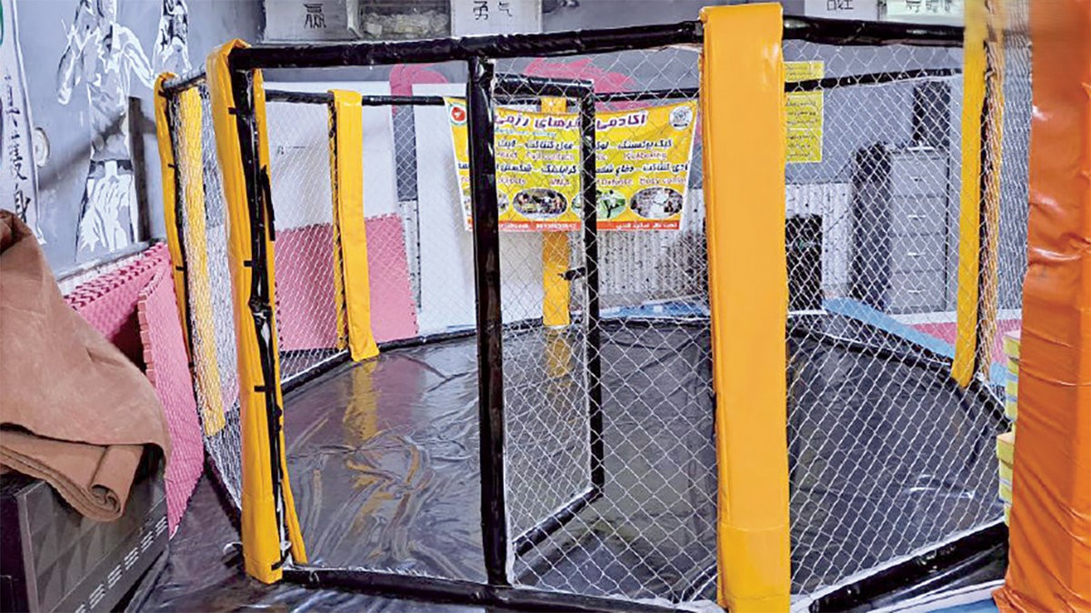 The death of a young girl in the cage of an illegal sports club while fighting with a 22-year-old martial artist