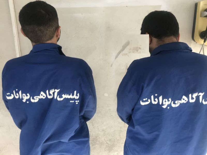 بوانات سارقین احشام