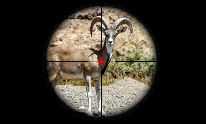 Hunting in Iran 4