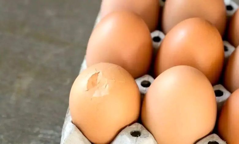 تخم مرغ ترک خورده