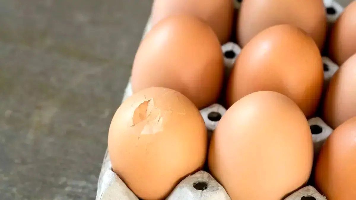 آیا خوردن تخم‌مرغ ترک‌خورده برای سلامتی ضرر دارد؟