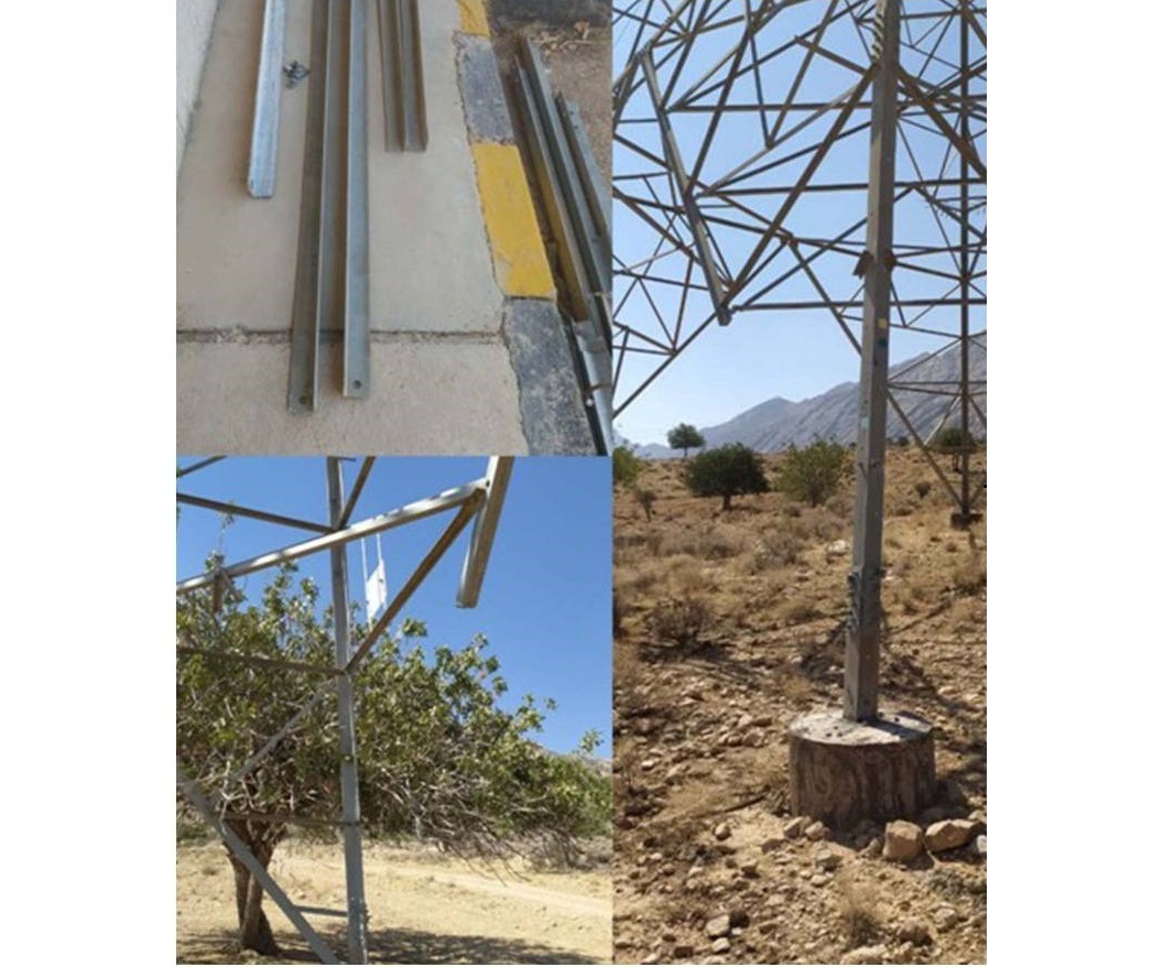 دزد حرفه‌ای استان فارس بالای دکل فشار قوی گرفتار شد