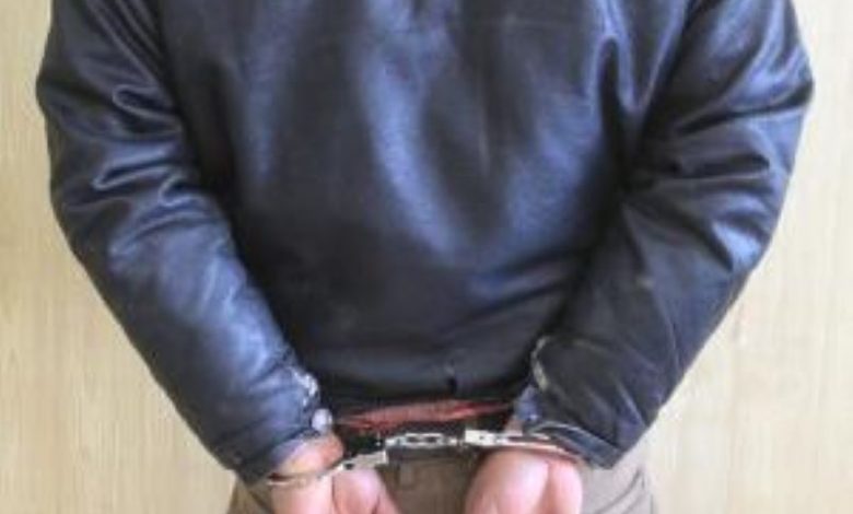 دزدان قاپزن گوشی و طلاجات شهروندان شیرازی گرفتار شدند/ سارقان اهل استان مجاور بودند 1 سارق شیراز