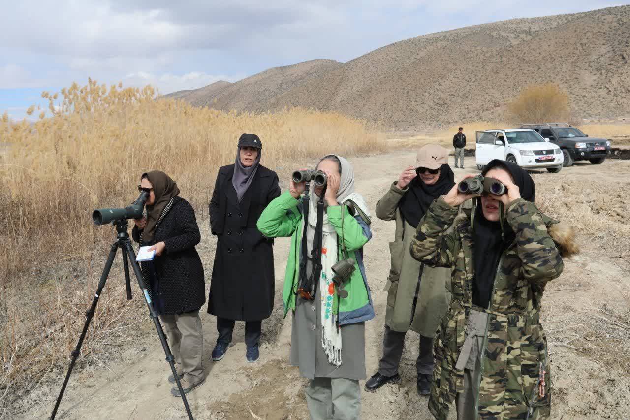 کارشناسان زن در حال سرشماری زمستانه پرندگان سد درودزن+عکس