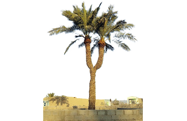 این بخش از استان فارس سالی ۲ ماه آب ندارد(+ویدئو)