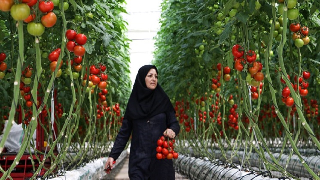 هشدار جدی هواشناسی به گلخانه‌داران و پرورش‌دهندگان ماهی در ایران