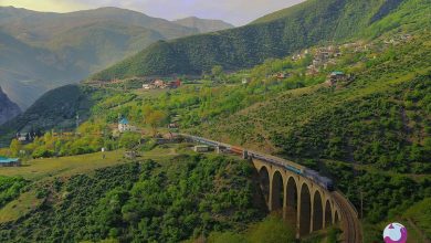 هرآنچه باید درباره تورهای داخلی نهال گشت بدانید 4 Domestic tours of the seedling 1