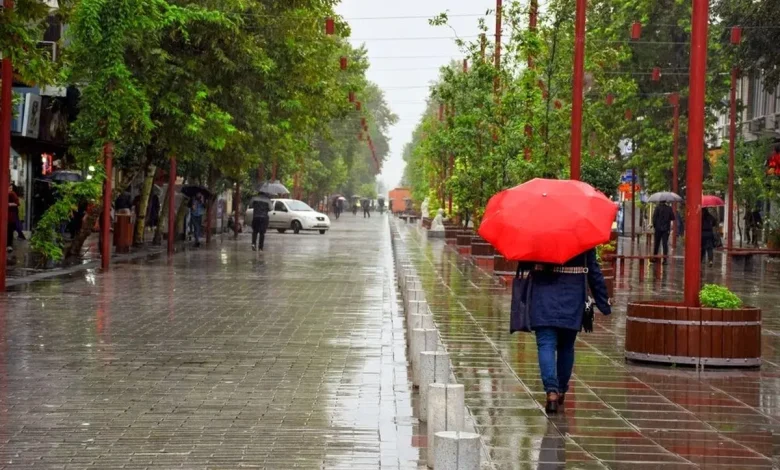 Meteorological Organizations forecast of the countrys weather