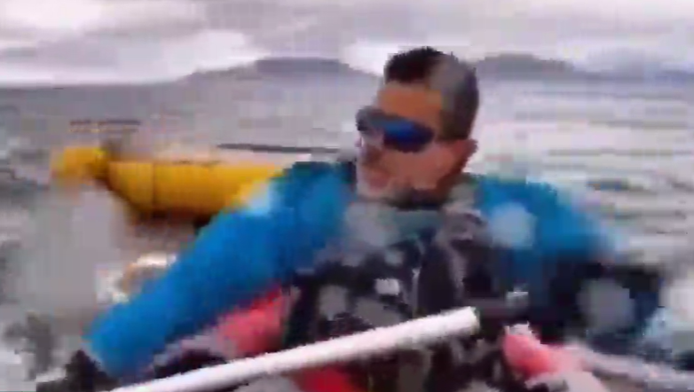 لحظه بلعیده شدن یک قایق‌سوار توسط نهنگ گوژپشت  + فیلم