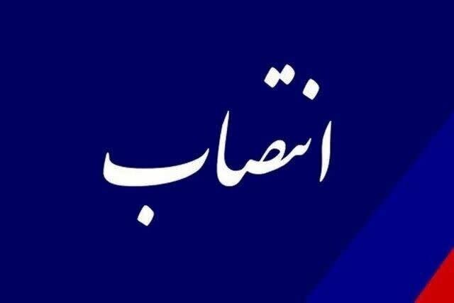 مدیرکل دفتر امور شهری و شوراهای استانداری فارس منصوب شد