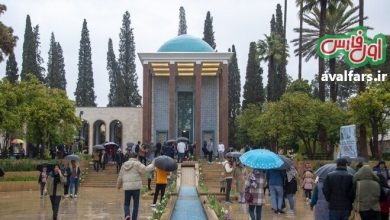 بارش باران در شیراز
