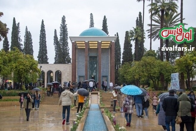بارش باران در شیراز