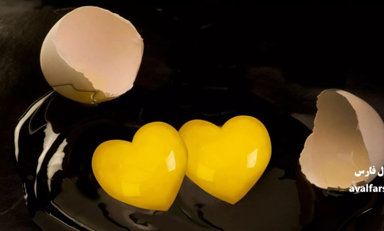 معجزه تخممرغ برای سلامت قلب و افراد با کلسترول بالا ثابت شد؛ روزی چند تا تخم مرغ بخوریم؟ 1 تخم مرغ