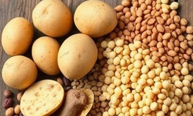 صادرات سیب زمینی و انواع حبوبات برای ۲ ماه ممنوع شد 1 حبوبات سیب زمینی