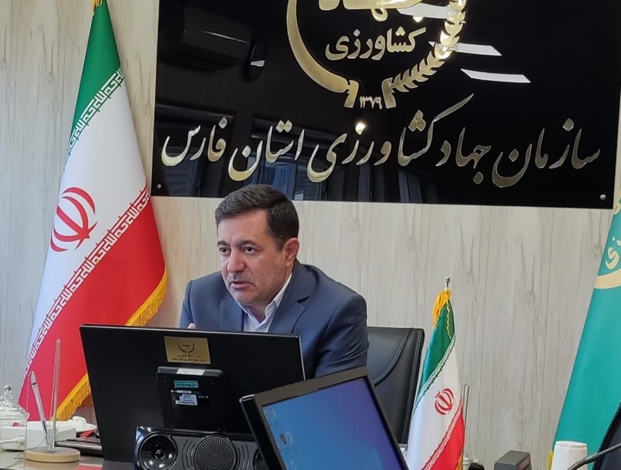 ۸۶ درصد لیموشیرین کشور در استان فارس تولید می‌شود