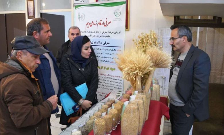 مؤسسه تحقیقات دیم کشور