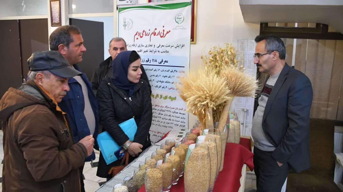  رئیس مؤسسه تحقیقات دیم :معرفی ۱۹ رقم جدید محصولات زراعی دیم در سه سال اخیر