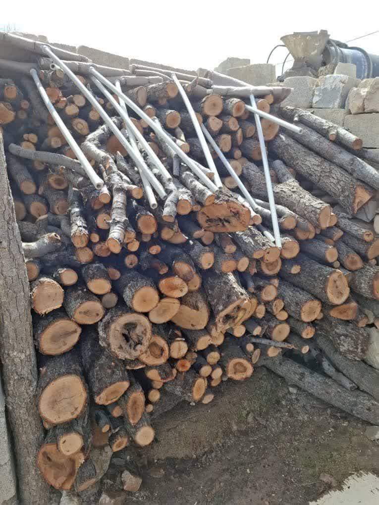 کشف محموله بزرگ هیزم بلوط در کوهمره سرخی شیراز