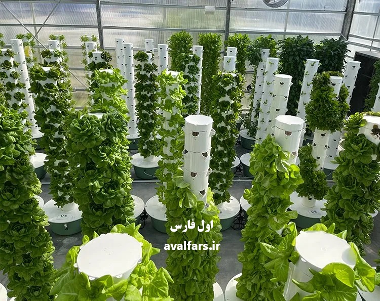 شگفت‌انگیزترین روش کاشت انواع سبزیجات بدون نیاز به زمین (+ویدئو)