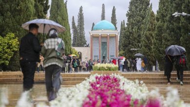 باران شیراز