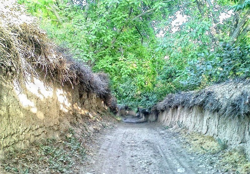 ساخت‌وسازهای غیرمجاز در شیراز: چه کسی پاسخگوی نابودی باغ‌های قصردشت است؟ آب منطقه‌ای همکاری نمی‌کند