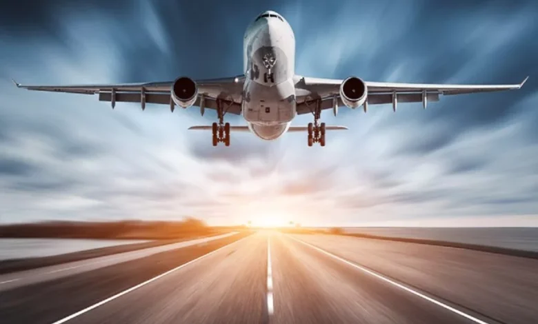 برخورد پرنده با هواپیمتا