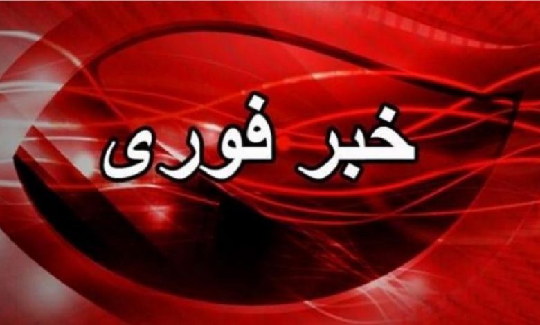 خبر فوری